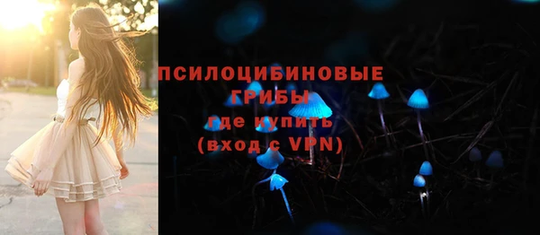 стафф Магадан