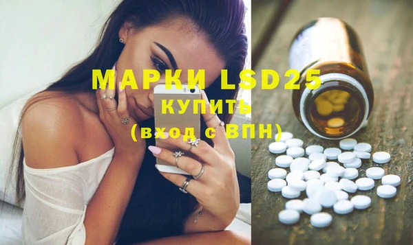 дмт Магас