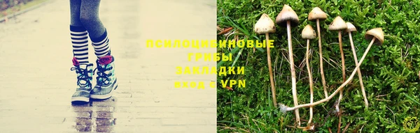 дмт Магас