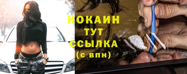 дмт Магас