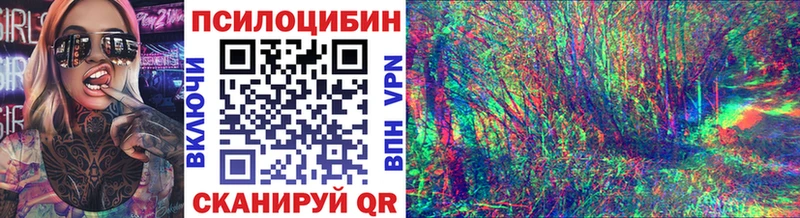 наркотики  Пугачёв  Псилоцибиновые грибы Psilocybe 